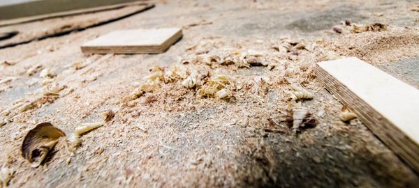 Wo gesägt wird, fallen Späne